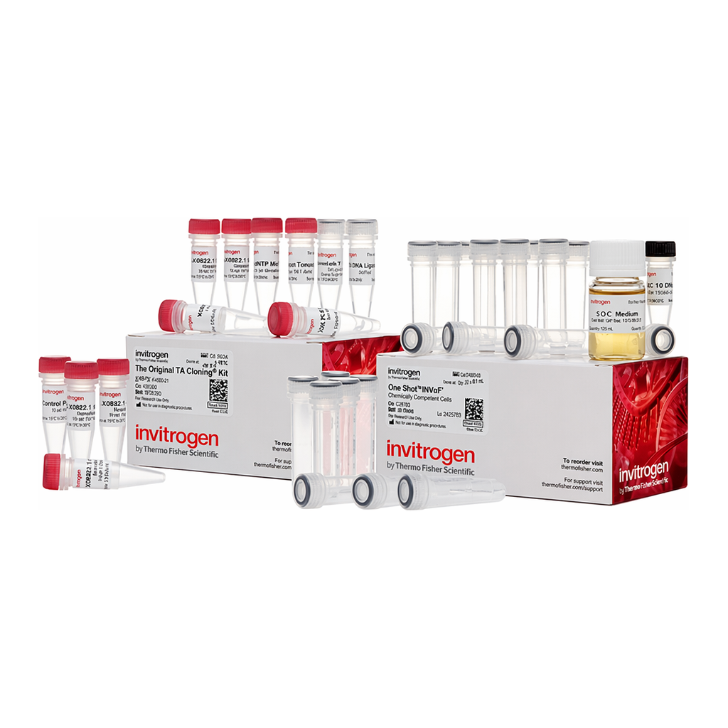 Thermo Fisher Scientific TA Cloning Kit, with pCR2.1 Vector and One Shot INVαF` Chemically Competent E. coli, 20 reactions