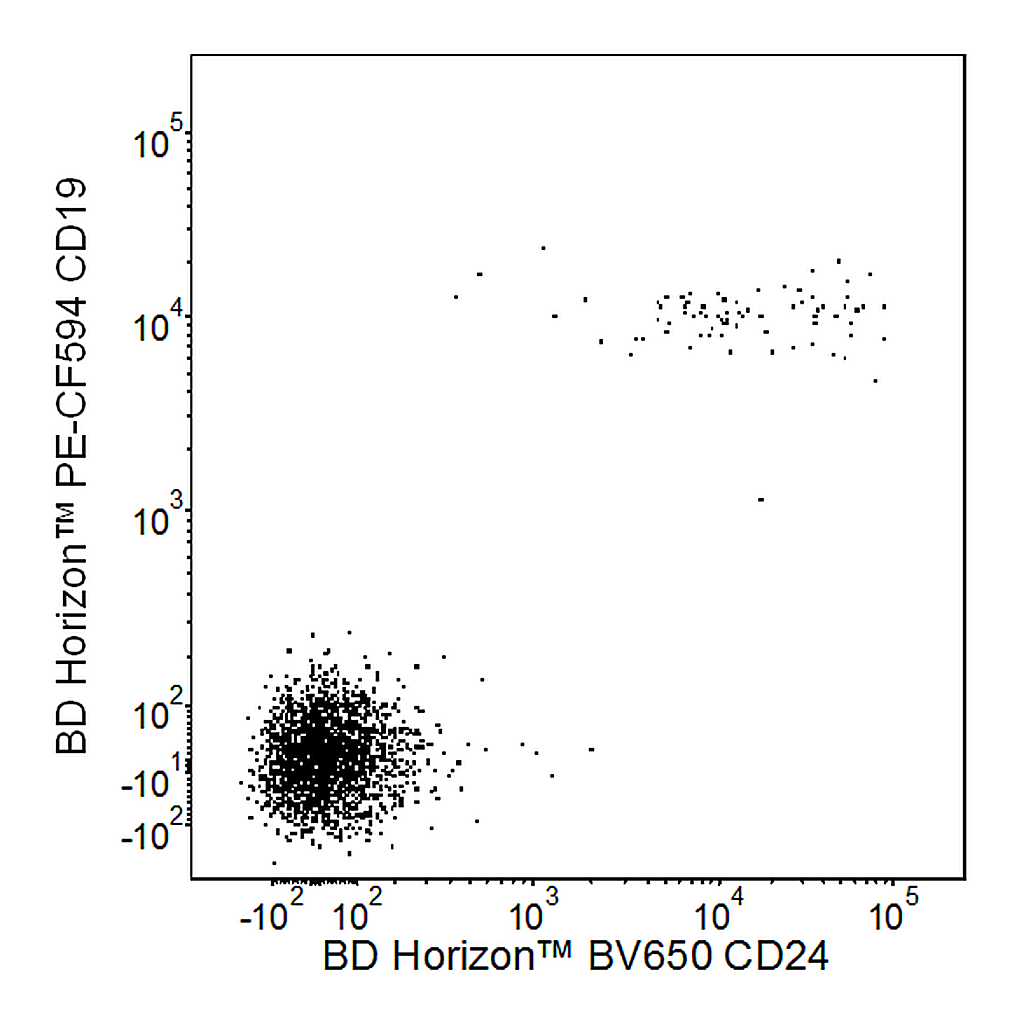 BD BV650 Mouse Anti-Human CD24
