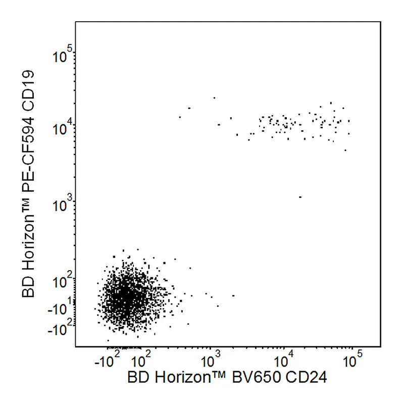 BD BV650 Mouse Anti-Human CD24