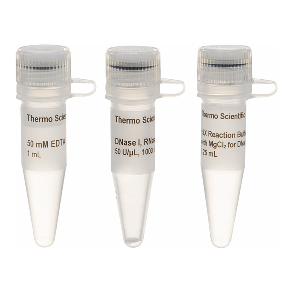 Thermo Fisher Scientific DNase I, RNase-free, HC (50 U/μL)