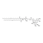 Merck 18:1 PE-TOPFLUOR AF488