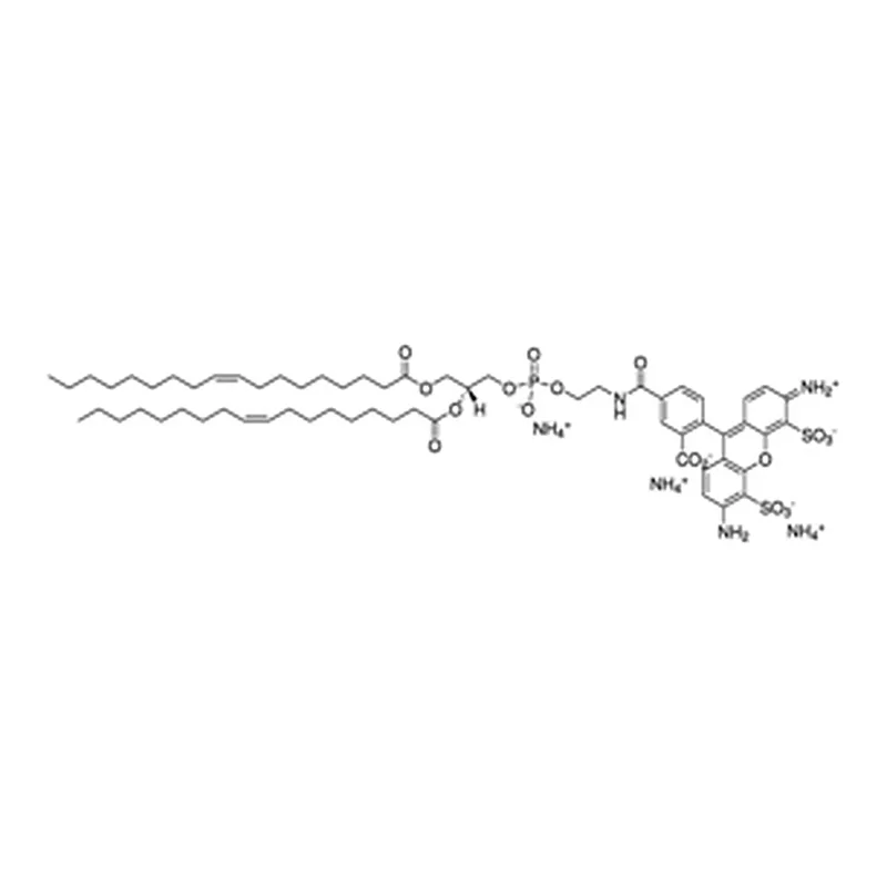Merck 18:1 PE-TOPFLUOR AF488