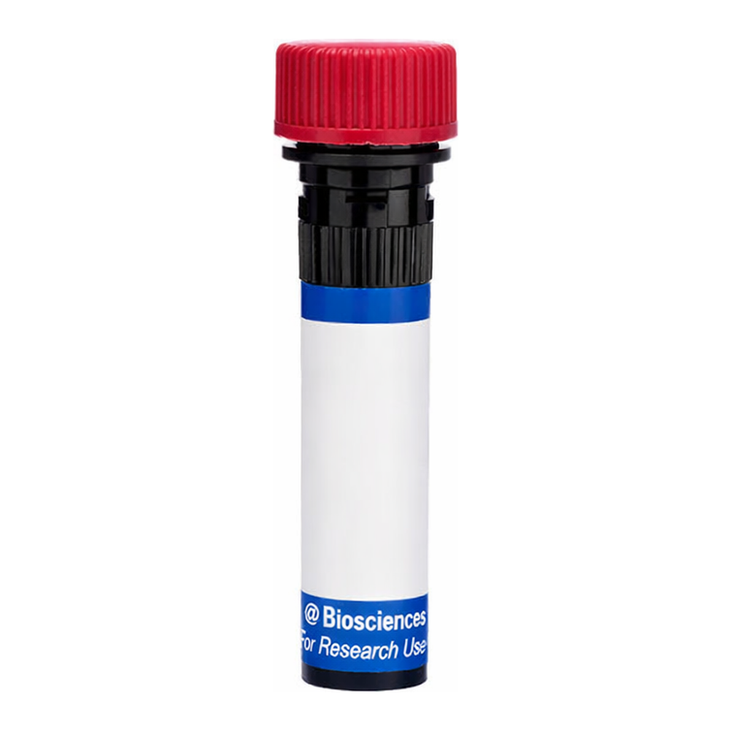 BD RB670 Mouse Anti-Human C3a Receptor