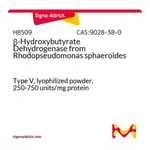 Merck beta-Hydroxybutyrate Dehydrogenase from Rhodopseudomonas sphaeroides