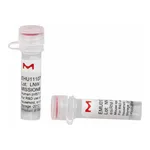 Merck MISSION(R) esiRNA