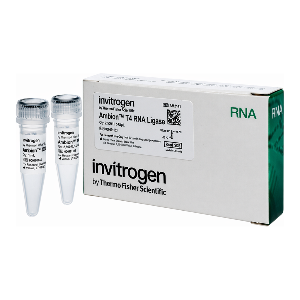 Thermo Fisher Scientific Ambion T4 RNA Ligase, cloned, 5 U/μL