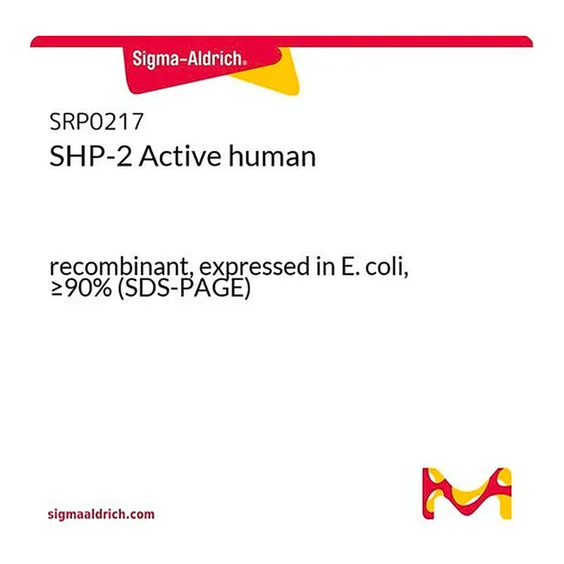 Merck SHP-2 Active human