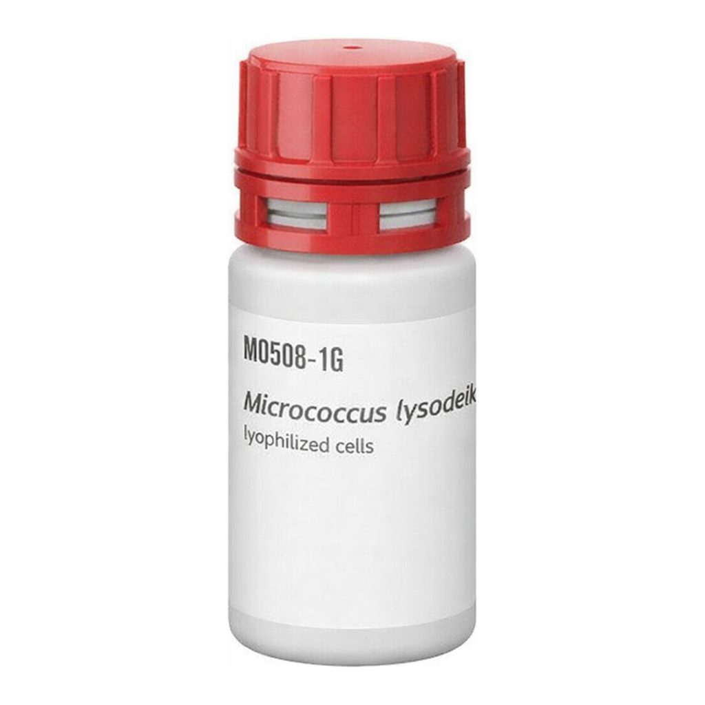 Merck MICROCOCCUS LYSODEIKTICUS
