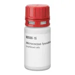 Merck MICROCOCCUS LYSODEIKTICUS