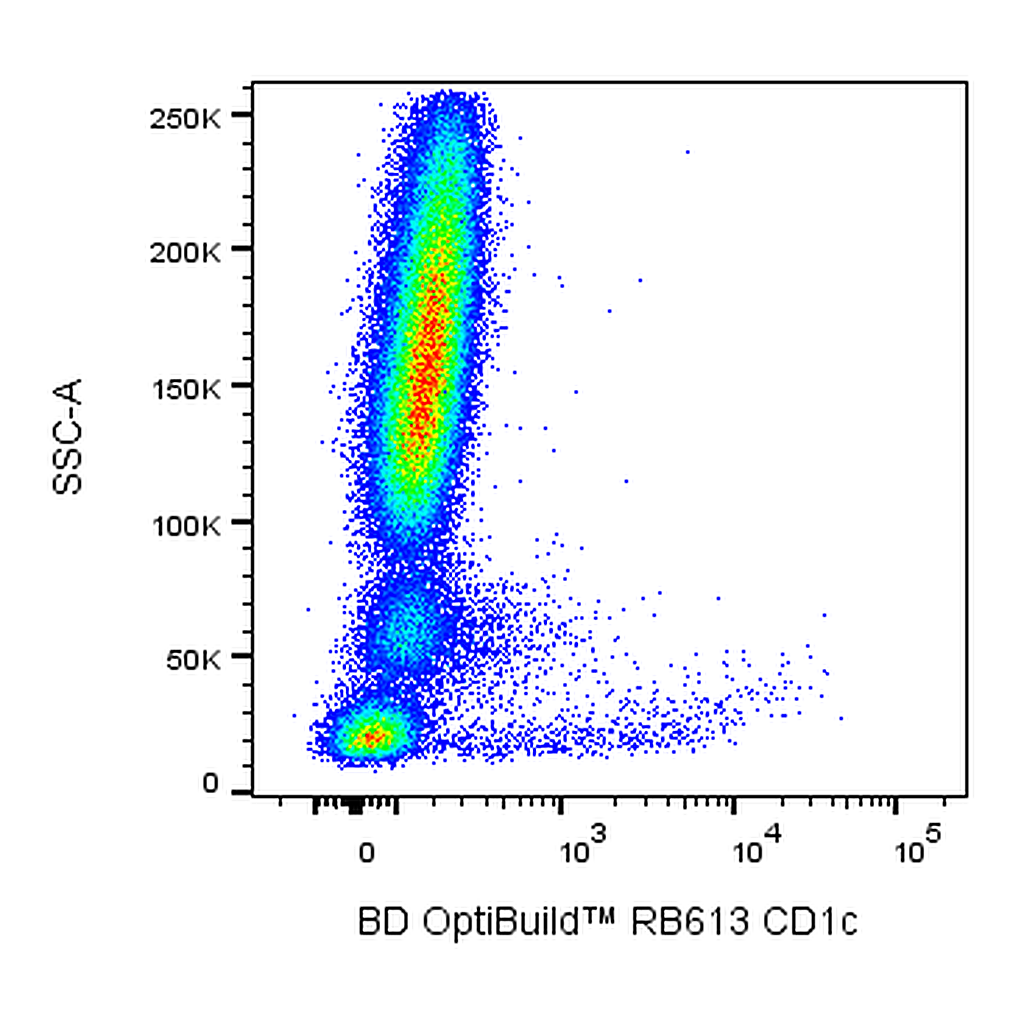 BD RB613 Mouse Anti-Human CD1c