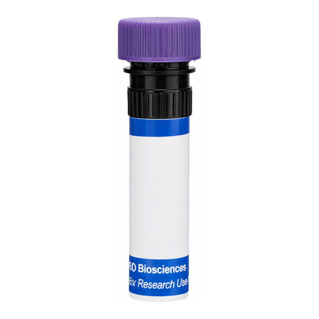 BD RB744 Rat Anti-Mouse IgG1