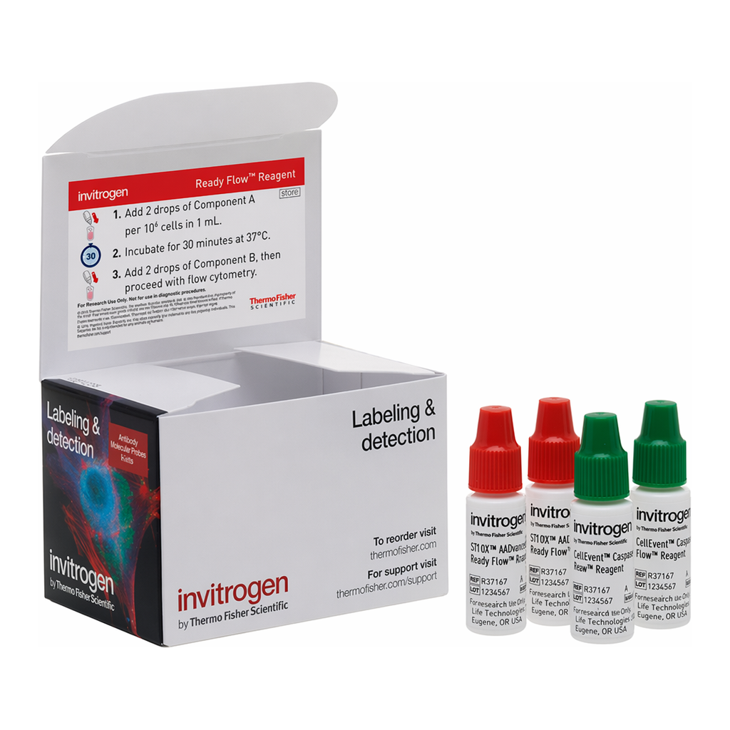 Thermo Fisher Scientific CellEvent Caspase 3/7 Green Ready Flow Reagent