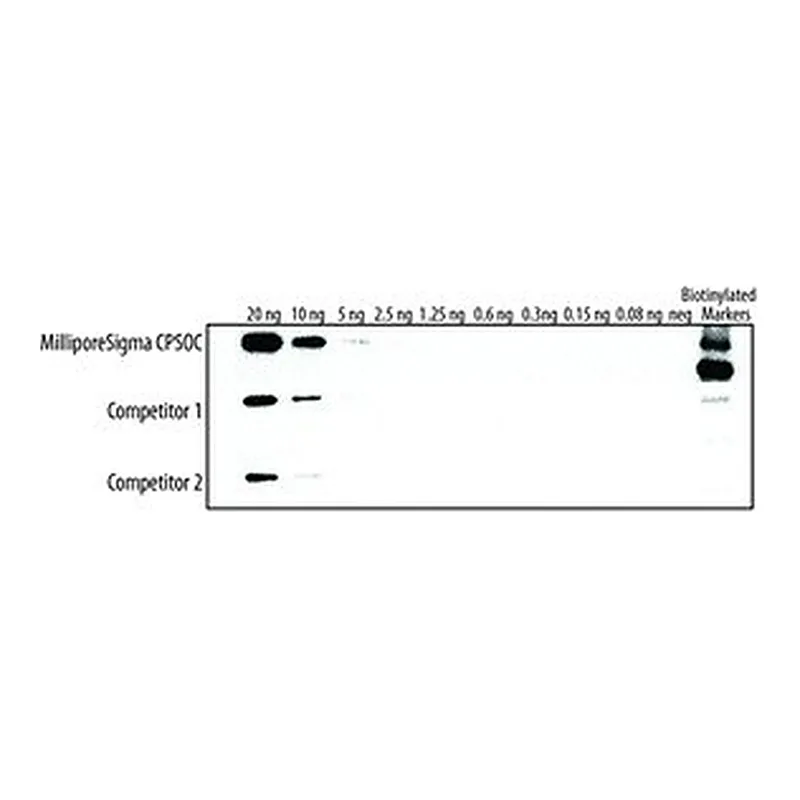 Merck CHEMILUMINESCENT PEROXIDASE SUBSTRATE&