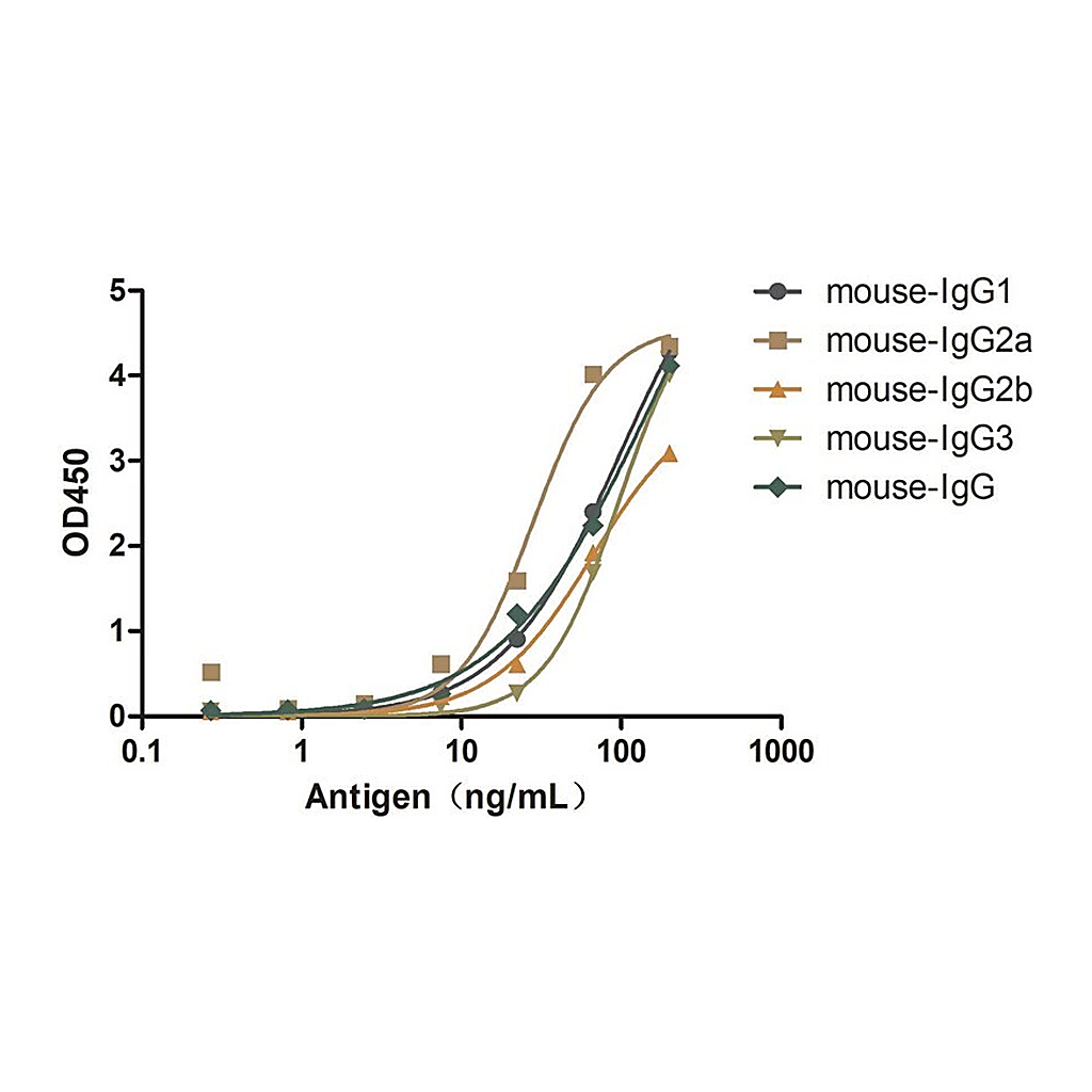 Merck Alpaca Anti-Mouse IgG(Fcγ) single domain