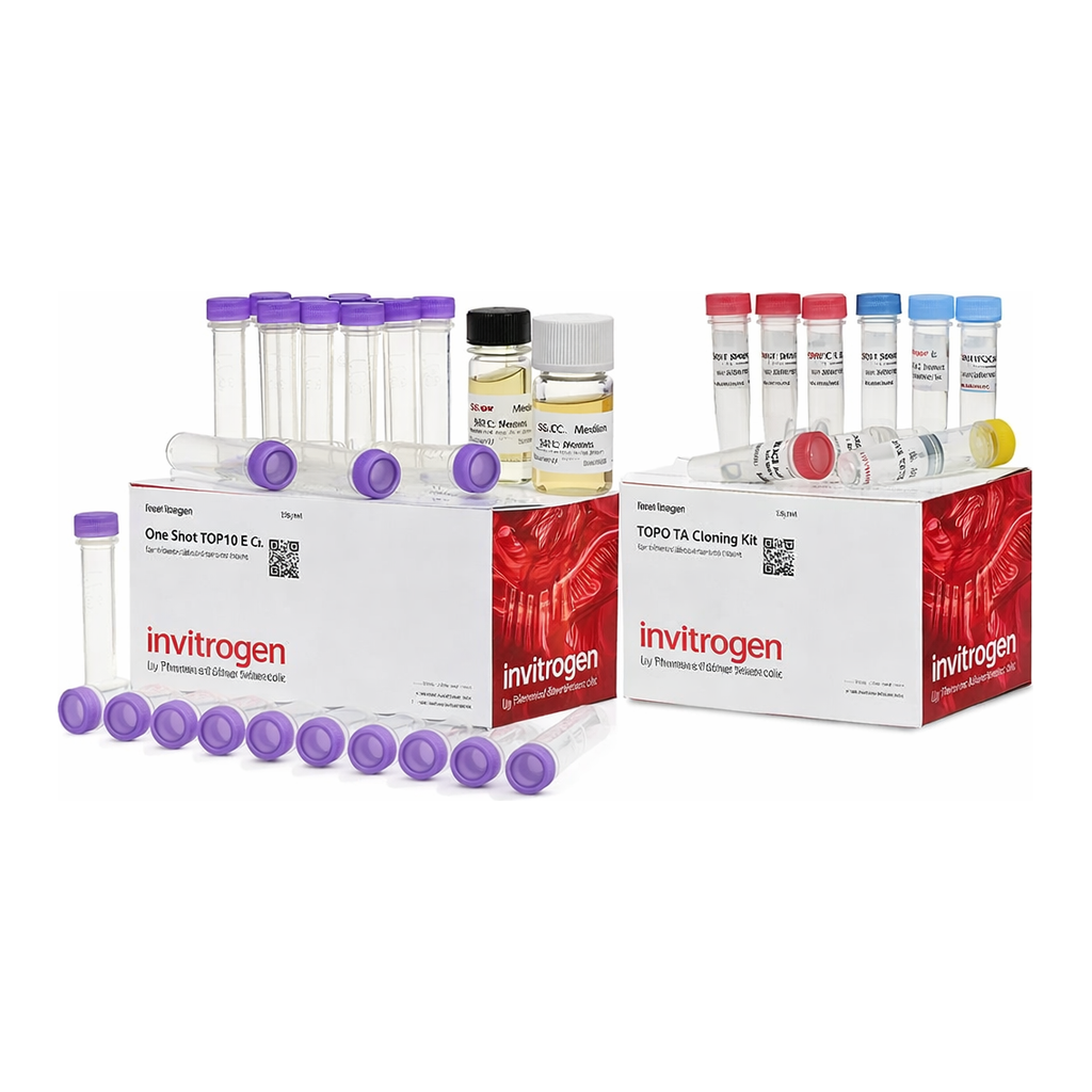 Thermo Fisher Scientific TOPO TA, Dual TOP10 (Supply Center Packaging)
