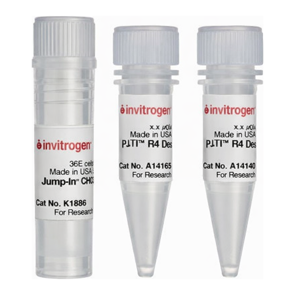Thermo Fisher Scientific Jump-In CHO-K1 Kit