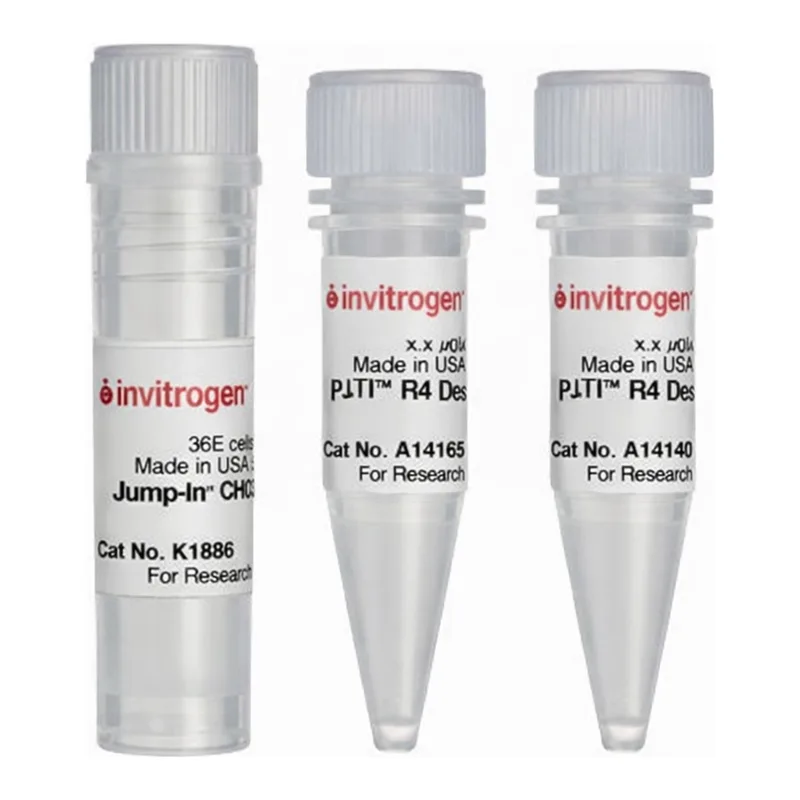 Thermo Fisher Scientific Jump-In CHO-K1 Kit
