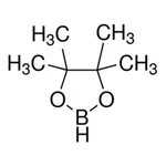 Merck 4,4,5,5-TETRAMETHYL-1,3,2-DIOXABOROLANE&