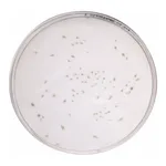 Himedia Columbia Blood Agar Base