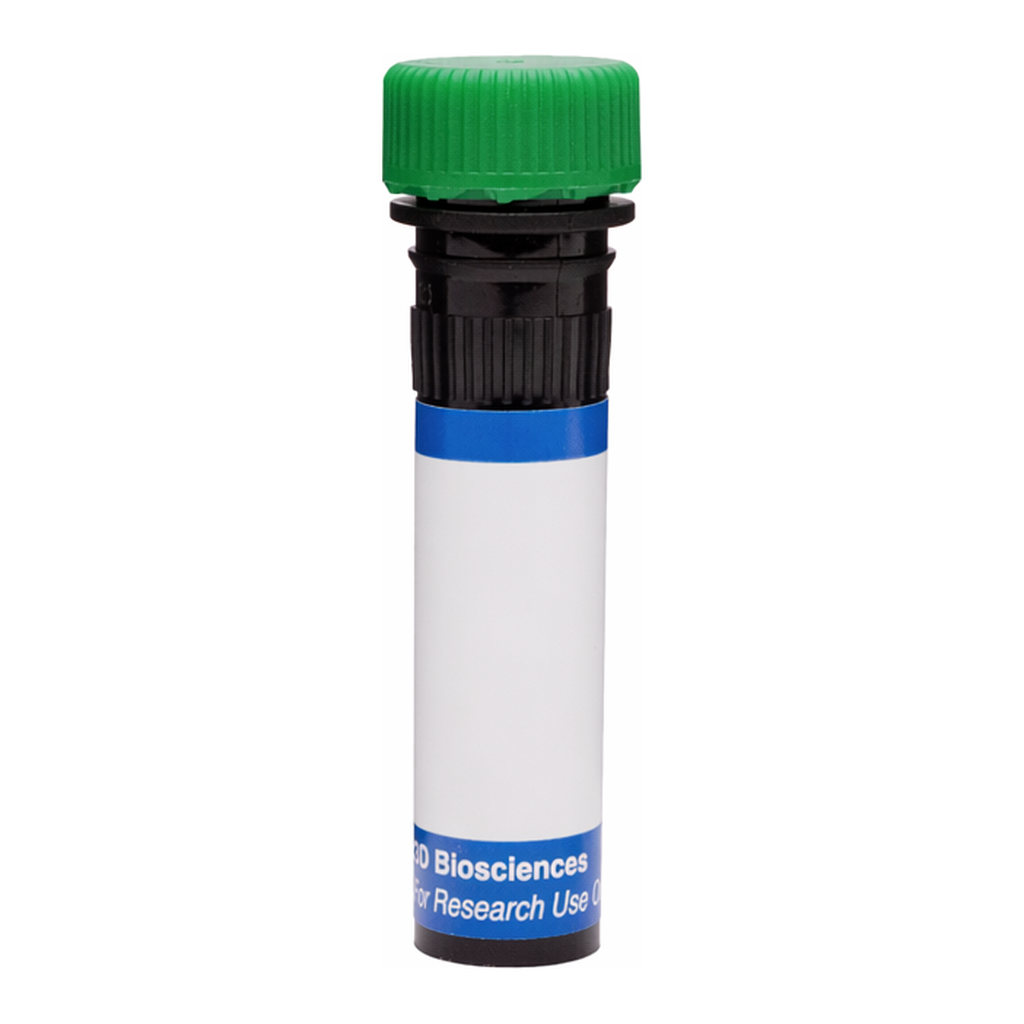 BD RB545 Mouse Anti-Human Delta-Like Protein 4