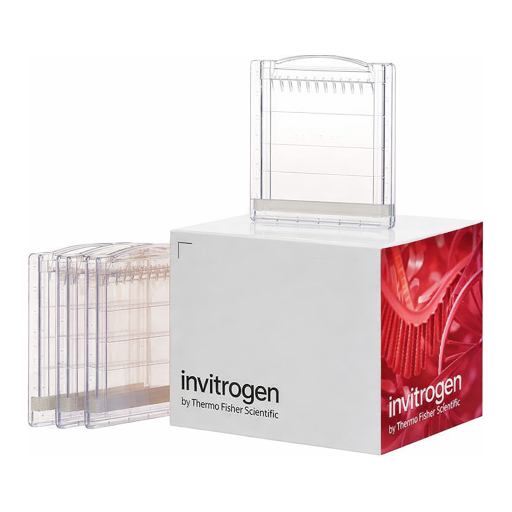Thermo Fisher Scientific Novex Tris-Glycine Mini Protein Gels, 4–12%, 1.0 mm, WedgeWell format, 10 gels (1 box)