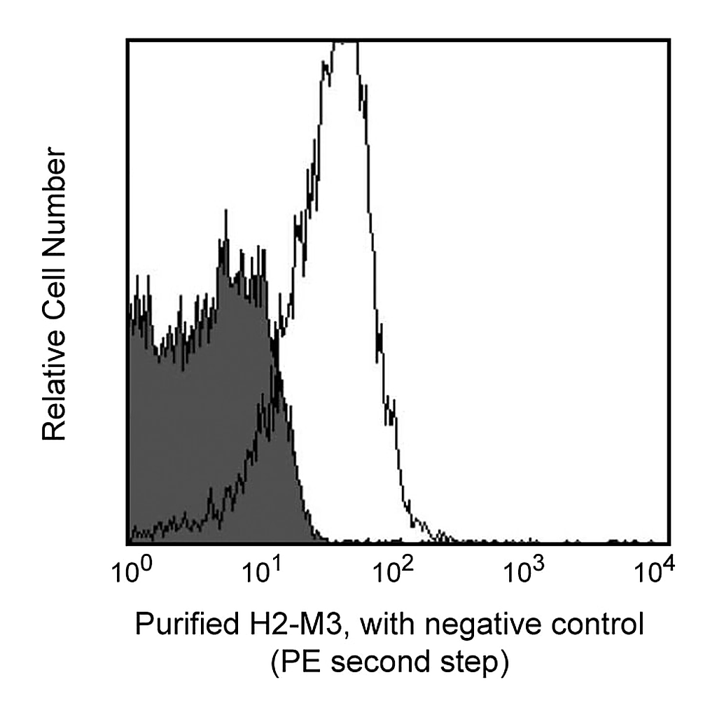 BD Purified Hamster Anti-Mouse H2-M3