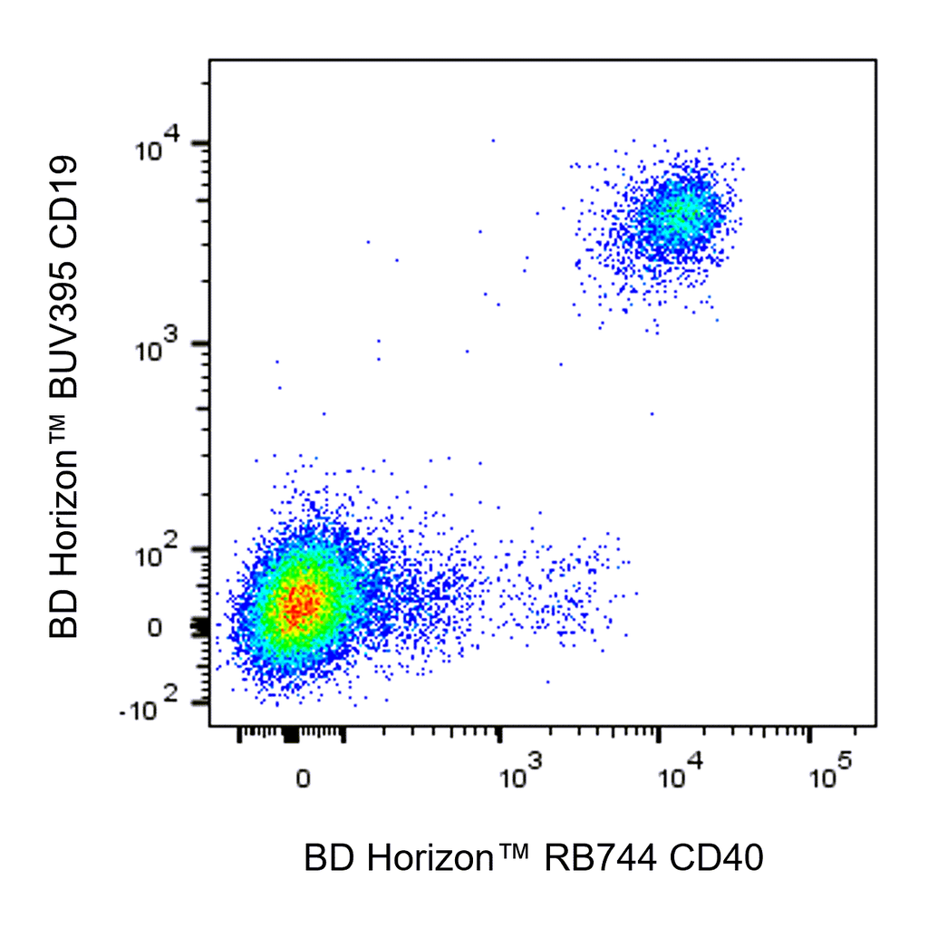 BD RB744 Mouse Anti-Human CD40