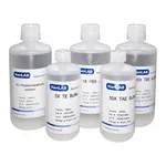 HanLAB DMSO