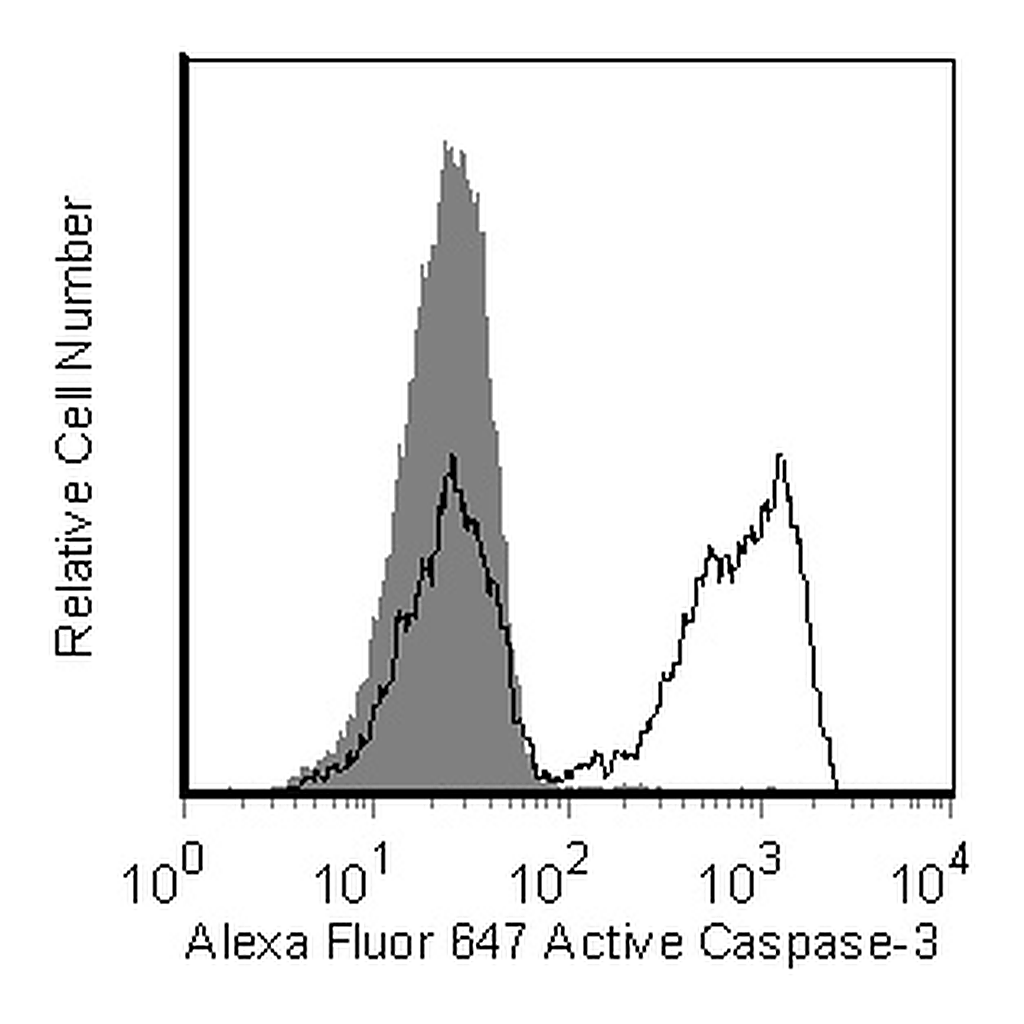 BD Alexa Fluor® 647 Rabbit Anti-Active Caspase-3