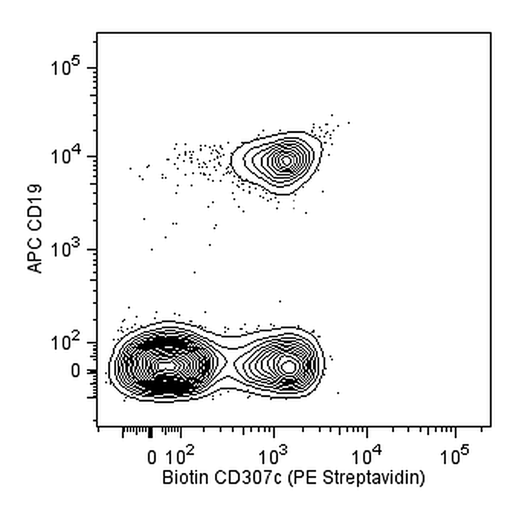 BD Biotin Mouse Anti-Human CD307c