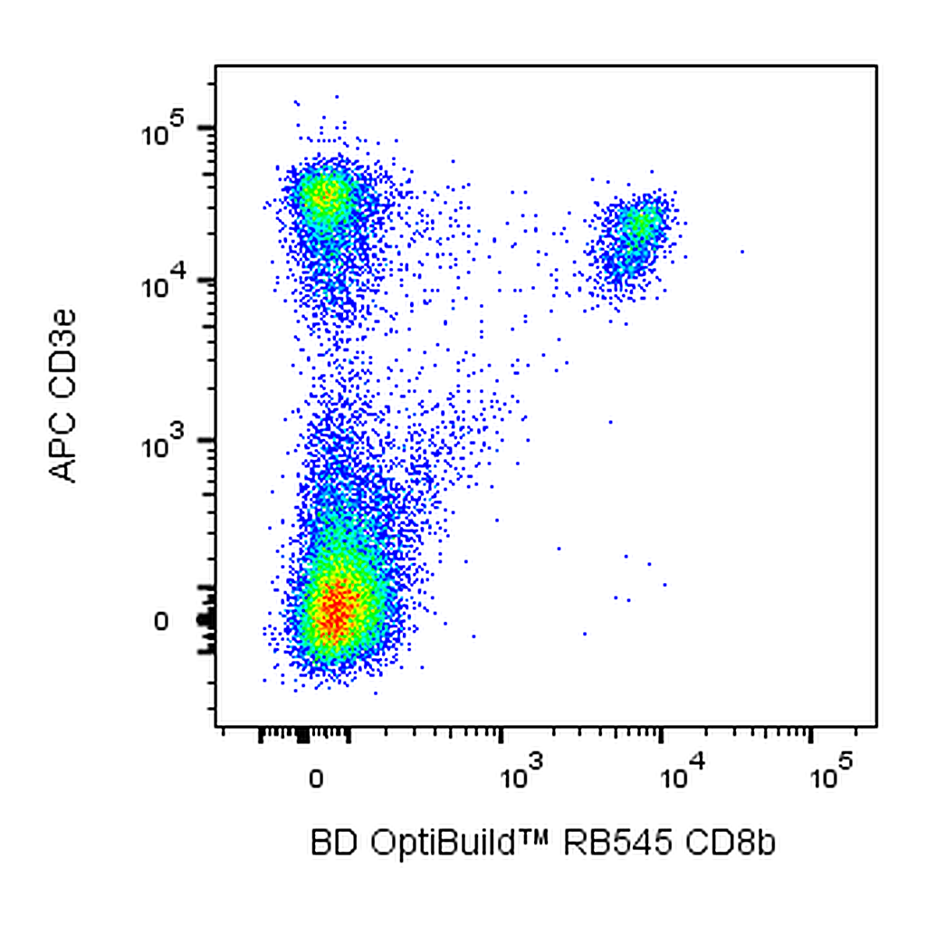 BD RB545 Rat Anti-Mouse CD8b