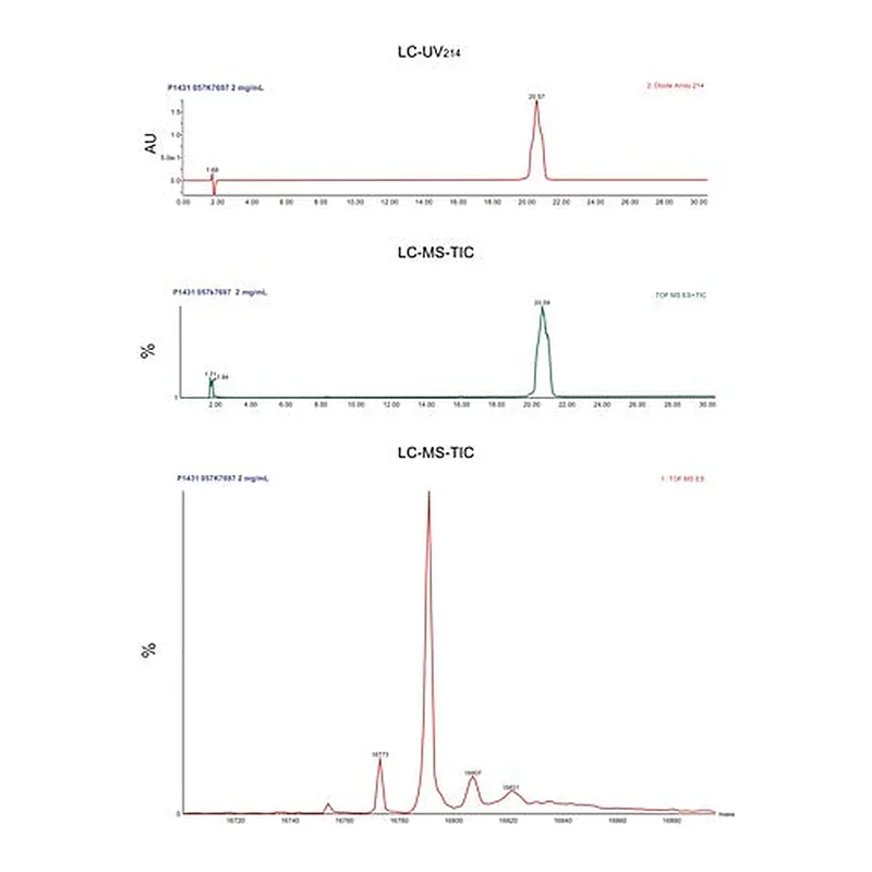 Merck Calmodulin from bovine testes