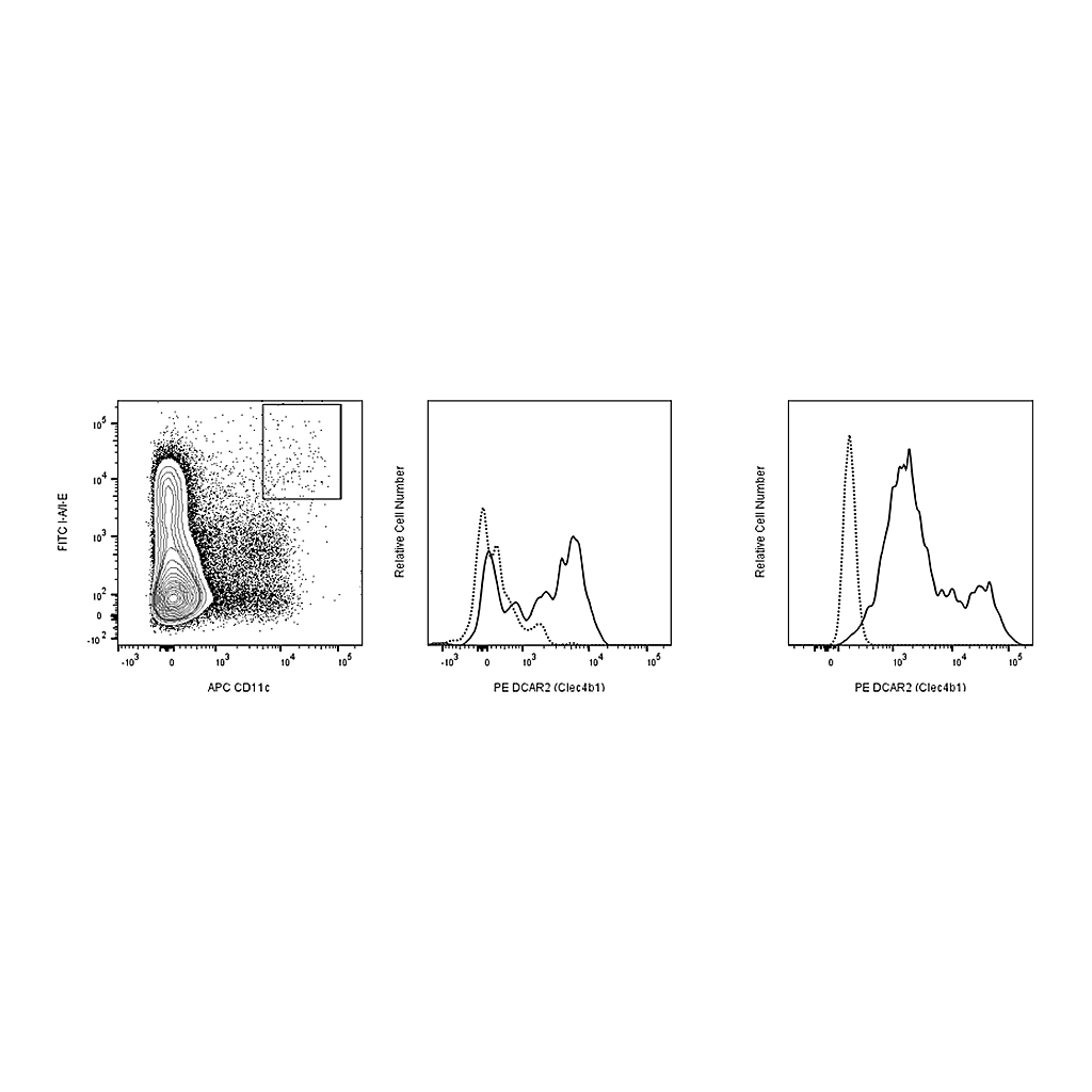 BD PE Rat Anti-Mouse DCAR2 (Clec4b1)