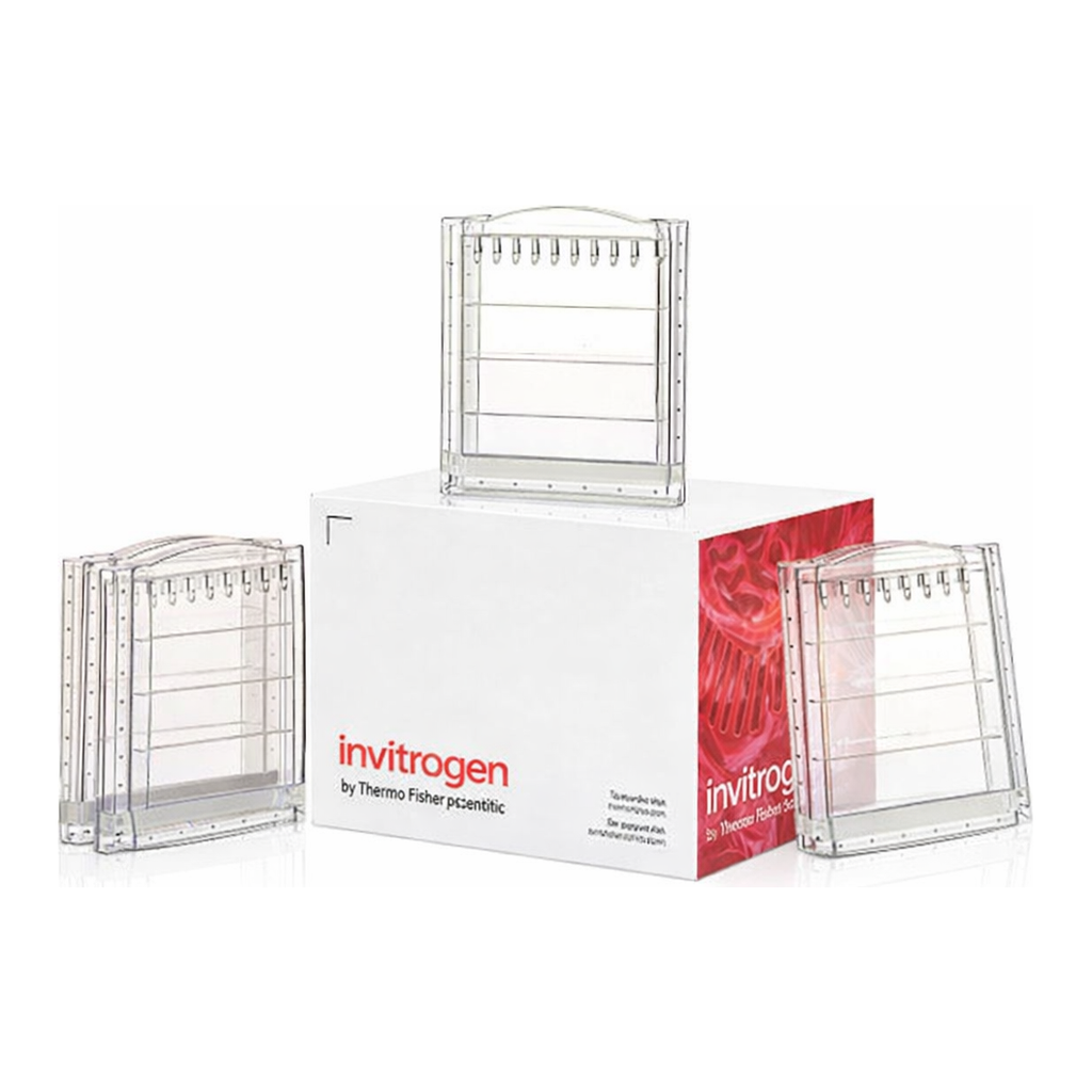 Thermo Fisher Scientific NativePAGE 3 to 12%, Bis-Tris, 1.0 mm, Mini Protein Gel, 10-well, 10 gels (1 box)