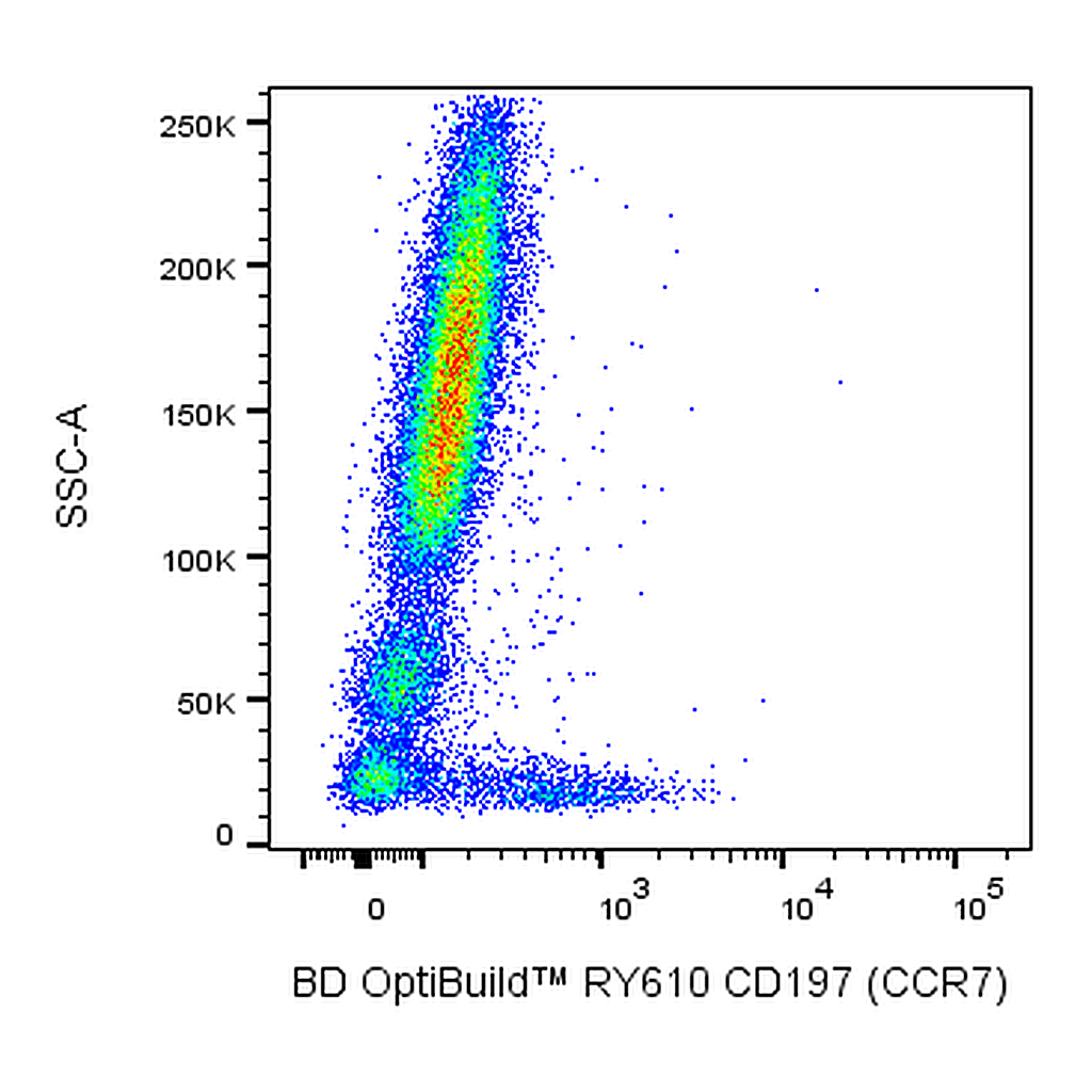 BD RY610 Rat Anti-Human CD197 (CCR7)