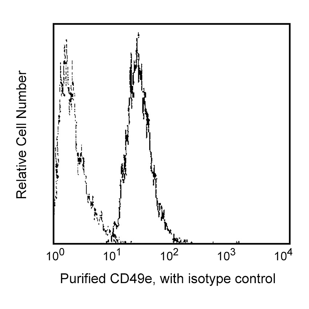 BD Purified Mouse Anti-Human Integrin α5 chain (CD49e)