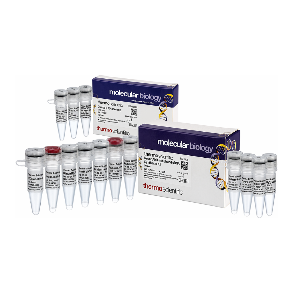 Thermo Fisher Scientific RevertAid First Strand cDNA Synthesis Kit, with DNase I, 20 reactions