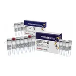 Thermo Fisher Scientific RevertAid First Strand cDNA Synthesis Kit, with DNase I, 20 reactions