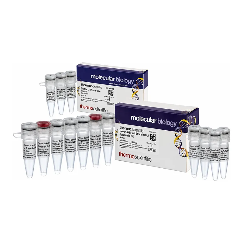Thermo Fisher Scientific RevertAid First Strand cDNA Synthesis Kit, with DNase I, 20 reactions