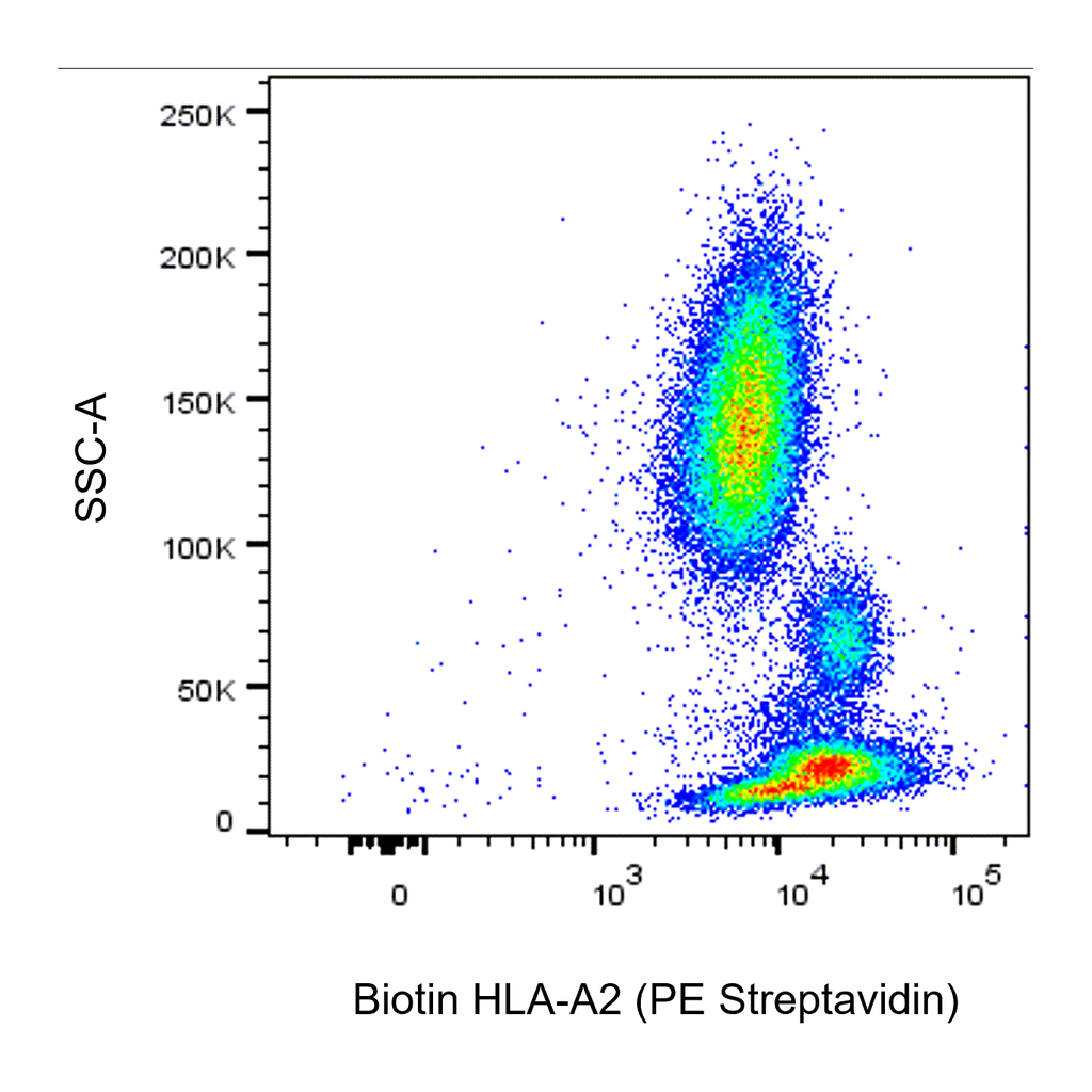 BD Biotin Mouse Anti-Human HLA-A2