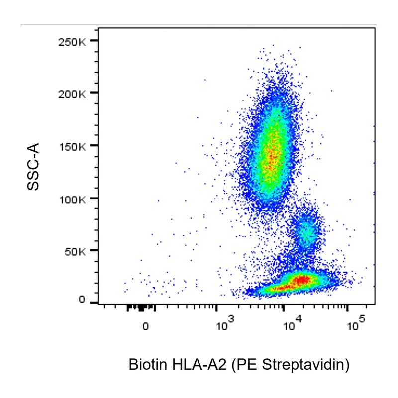 BD Biotin Mouse Anti-Human HLA-A2