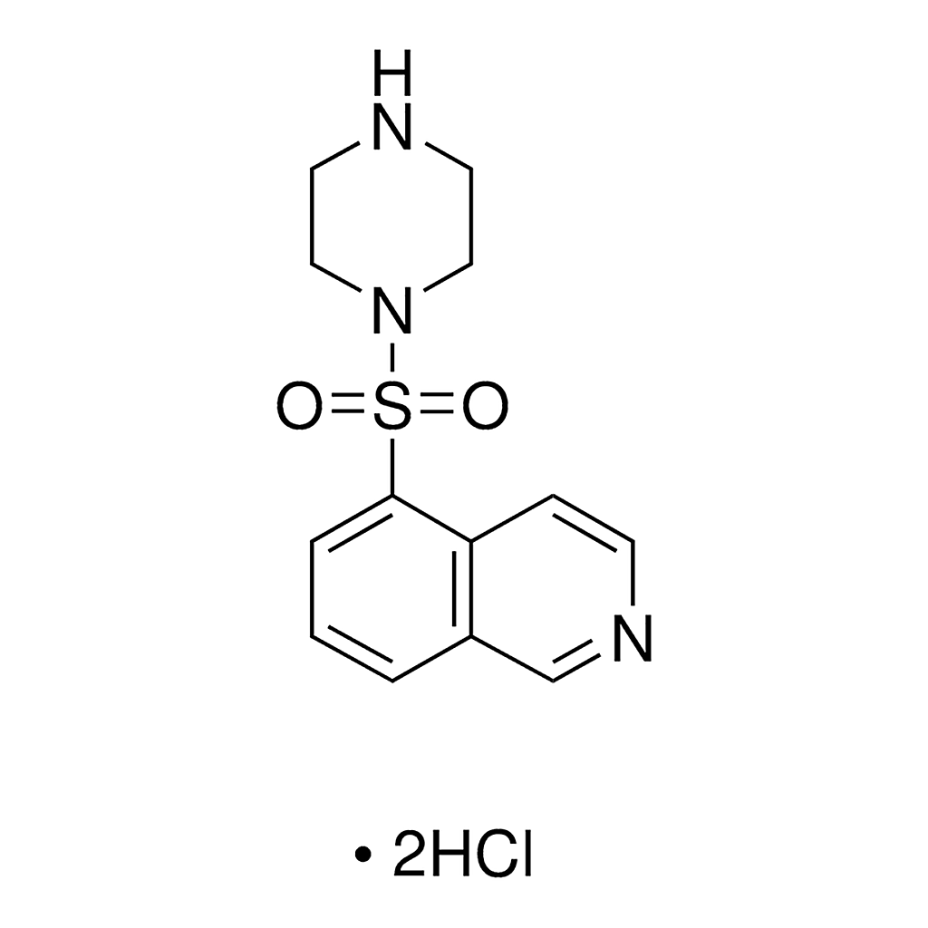 Merck 1-(5-Isoquinolinesulfonyl)piperazine, dihydrochloride