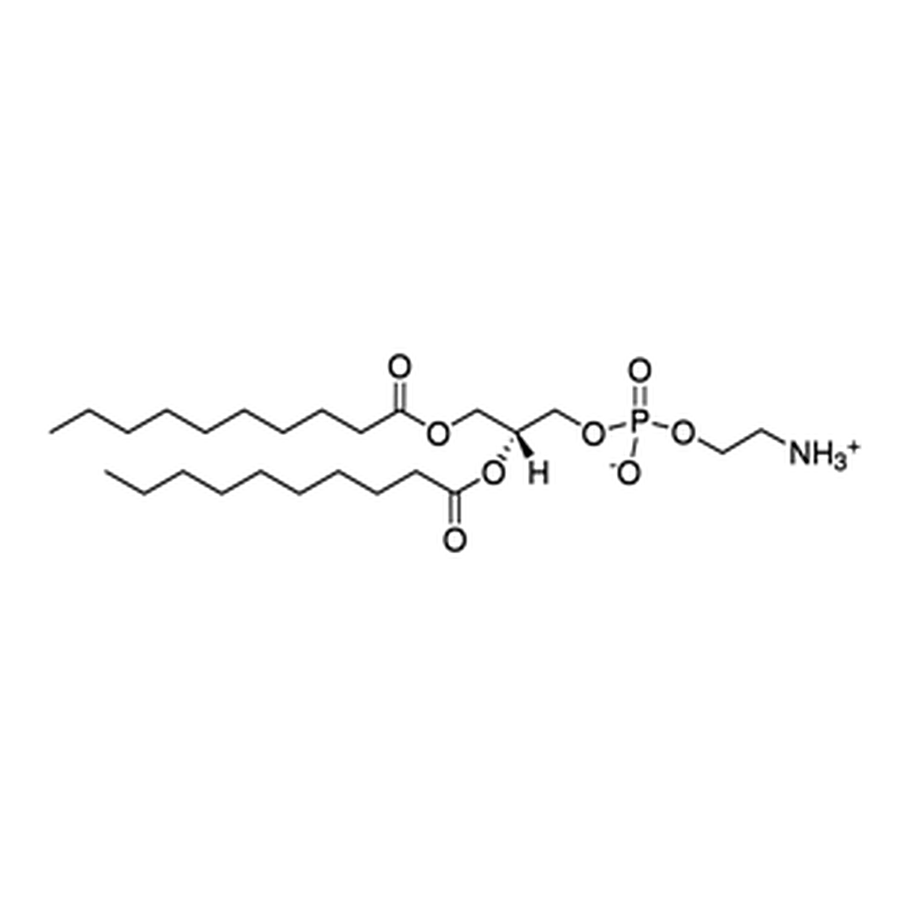 Merck 10:0 PE