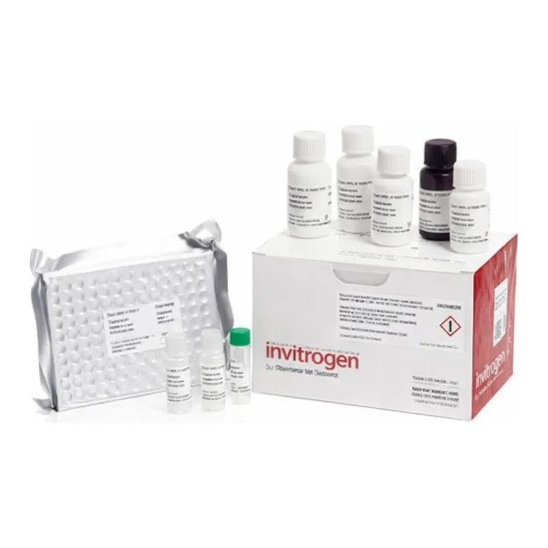 Thermo Fisher Scientific Mouse IgA Rapid ELISA Kit