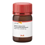 Merck AMANO LIPASE FROM PSEUDOMONAS FLUORESCEN