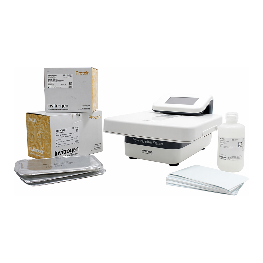 Thermo Fisher Scientific Power Blotter XL Welcome Pack