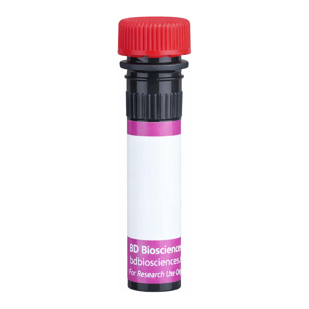 BD BV711 Rat Anti-Mouse Delta-Like Protein 1