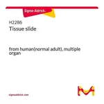 Merck Tissue slide
