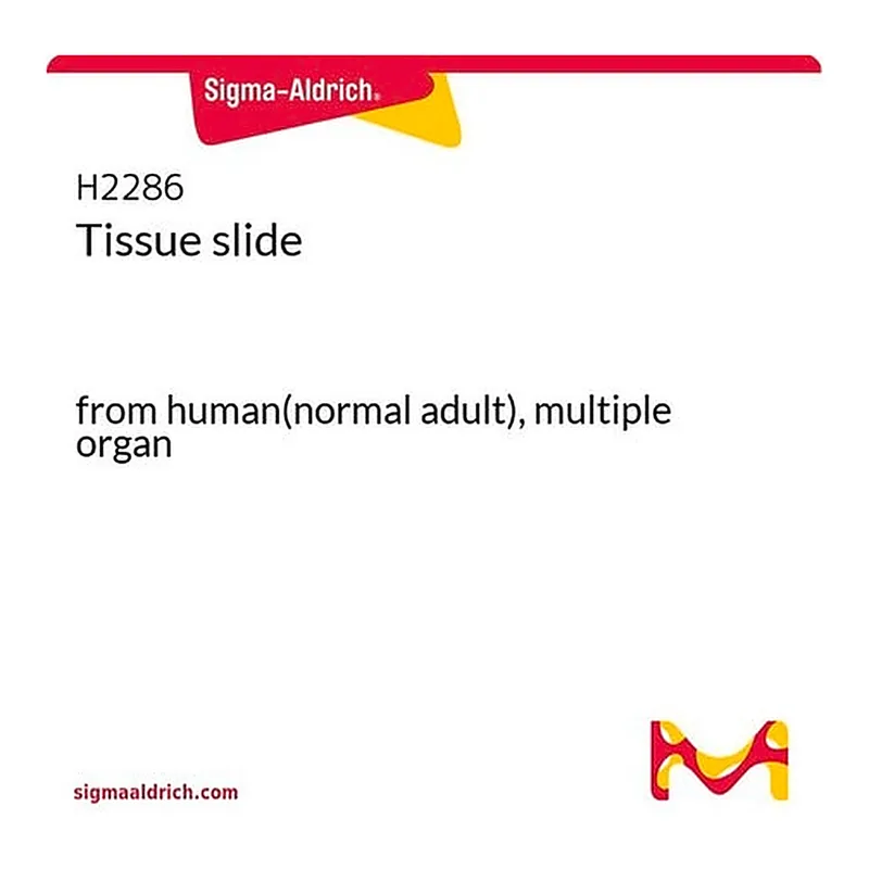 Merck Tissue slide