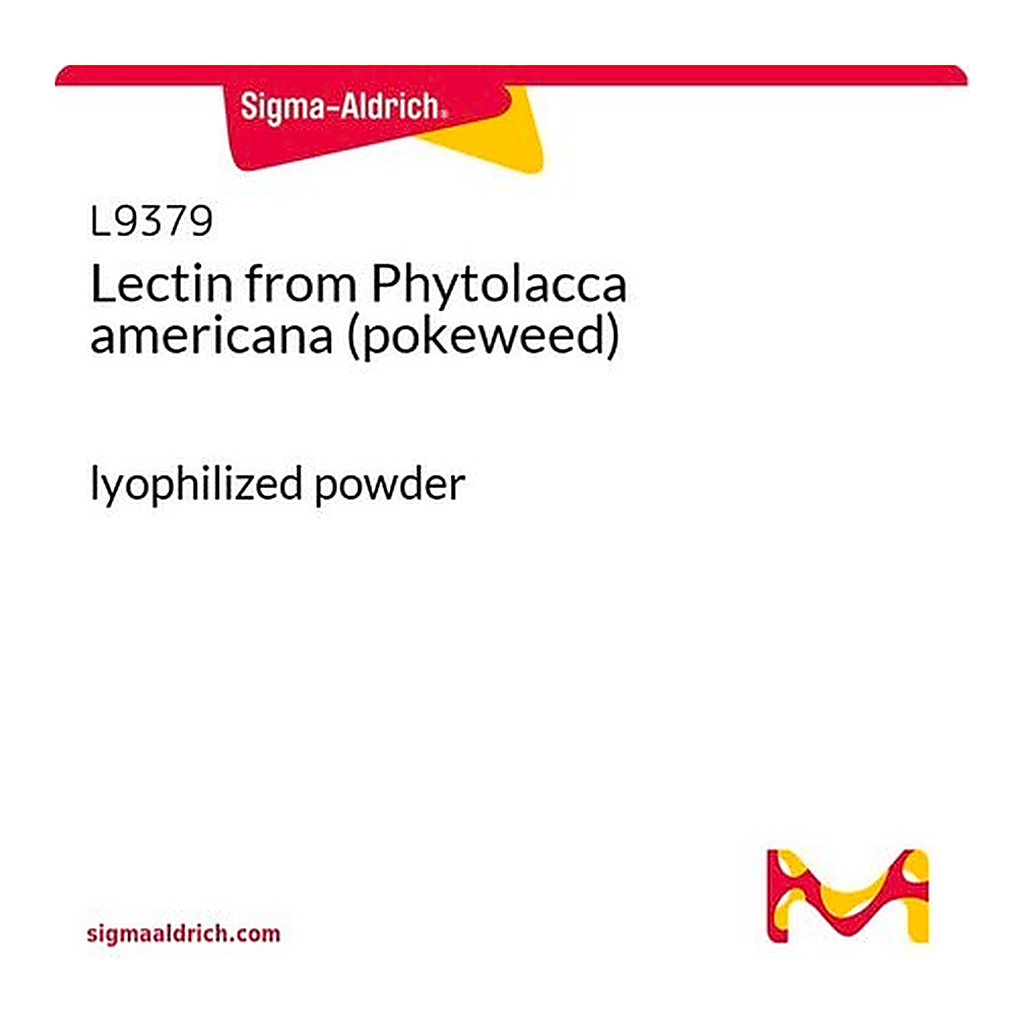 Merck Lectin from Phytolacca americana (pokeweed)
